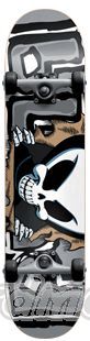 Profesion�ln� skateboardov� komplet od sv�tov� firmy Blind Skateboards . Deska je slepen� ze 7 vrstev ze 100% kanadsk�ho javoru o ���ce 7.5".