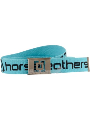 P�sek Horsefeathers Icon aqua
