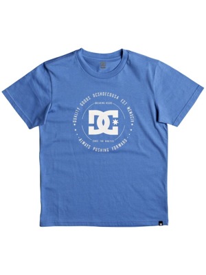Dětské tričko DC Rebuilt campanula/ snow white